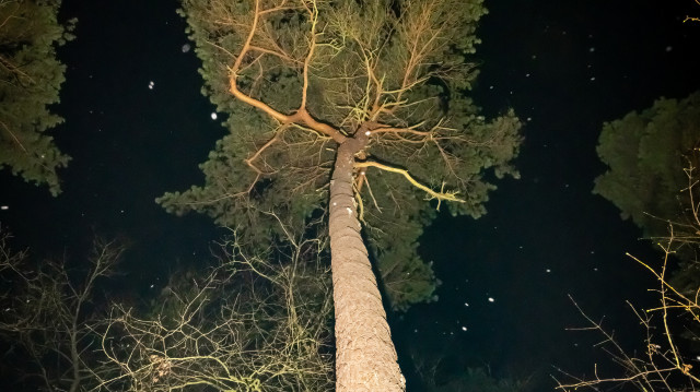 Semantische Maschinen brauchen semantische Modelle